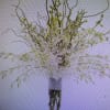 White Orchids bouquet