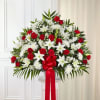RED AND WHITE FLOWERS 