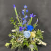 Celebration in blue, Iris and delphinium are featured with blue roses. 