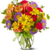 A summery mix of yellow daisy chrysanthemums purple asters and hot pink