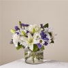 Beyond Blue bouquet is designed with billowing white blooms and pops of