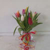 Premium assorted tulips in a  vase with confetti ribbon 