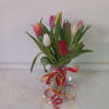 Premium assorted tulips in a  vase with confetti ribbon 