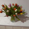 Premium assorted tulips in a  vase with confetti ribbon 