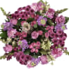Attention all flower enthusiasts! Are you ready to indulge in a delightful