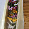 10 assorted daisies boxed with greens 