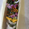 10 assorted daisies boxed with greens 