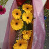 Beautiful &quot;sunshine&quot; Gerbera daisy assorted colors in a box (2 sizes available: