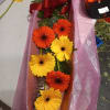 Beautiful &quot;sunshine&quot; Gerbera daisy assorted colors in a box (2 sizes available: