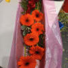 Beautiful &quot;sunshine&quot; Gerbera daisy assorted colors in a box (2 sizes available: