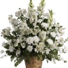 A large basket filled with an all white assortment of snapdragons daisies