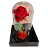 Gorgeous red rose forever rose  in a glass dome with fairy