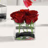 Short and sweet! That describes this compact cube of delightful roses. Regular