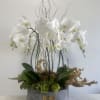 Gorgeous Orchid arrangement filled with love . Perfect for office entrance table.