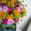 Burgundy, lavender and orange chrysanthemums in an elegant velvet box looks exquisite