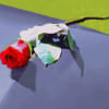 LONG STEMMED PREMIUM LOOSE RED ROSES IN BOX FOR ANC SERVICE.

WE DELIVER