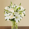 White flowers have a timeless elegance, which is captured in our luxurious