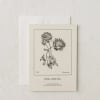 Our letter-pressed cards hearken back to botanical encyclopedia illustrations. Our cards are
