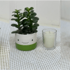 Pick any three happy planters to be delivered. Please note your color