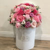 Roses, Autromeria