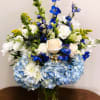 Beautiful assortment of blue and white flowers arranged together in a short