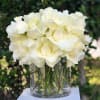 Discover the enchantment of premium long-stem imported white roses with &quot;Demure,&quot; an