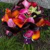 calla lilies , fall colors 