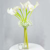 A gorgeous bouquet filled with a dozen of beautiful Calla lilies. Perfect