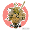 An all-white arrangement. Nice and Elegant. 