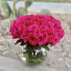 100 Pink Roses delicately curated in a glass bowl for that sophisticated