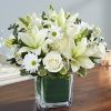 Product ID: 95378

Elegant white flowers help to convey your deepest sympathies with