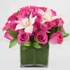 This lovely arrangement comes in a square Vase 6x6 
with 4 dozen