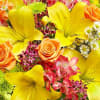 A gift of fresh flowers always creates smiles. Now you can send