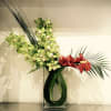 Custom Arrangement of Cymbidium Orchids &amp; Calla Lilies