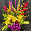 Let us WOW you with a Vibrant display of both Exotic and