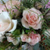 Put a spring in their step with this beautifully blushing bouquet of
