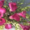 As lush and serene as a tropical sunset, this paradise of feminine