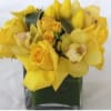 Bring a burst of sunshine to your moments with Dave&#039;s Flowers, your