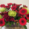 Red roses, red Gerbera daisies, green chrysanthemum, red alstromeria