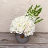 This lovely arrangement is filled with white and green hues of snapdragons