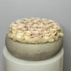 My oh, my! What nude roses do to one&#039;s eyes. Show the