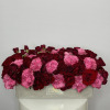 My oh, my! What red roses do to one&#039;s eyes. Show the