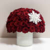 A Christmas red rose haven with a snowflake, layered on a white