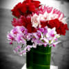 Unleash LA&#039;s Bold Romance: Radiance &amp; Royalty in Red Roses &amp; Orchids