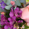 Surprise, surprise - with Chaney&acute;s Magic Pink Purple! Carefully designed with eucalyptus