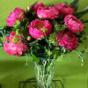 Peony Couture