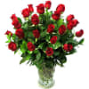 Two dozen premium long-stem red roses, artistically arranged, accented with fresh gypsophila