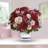 Sing them a love song - with flowers. This lush, loving rose