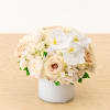 A bed of white hydrangea boasting white and champagne roses with an