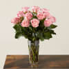 Enjoy the classic beauty of the rose with a playful twist in